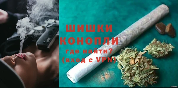 дмт Бородино