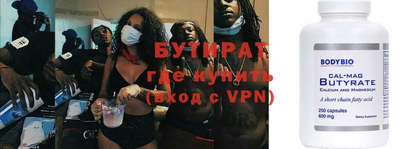 дмт Бородино
