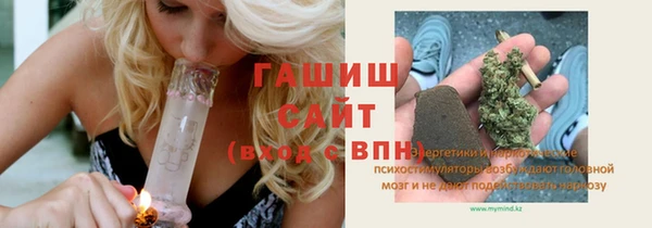 дмт Бородино
