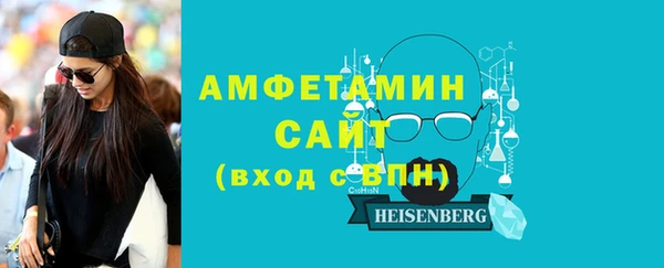 дмт Бородино
