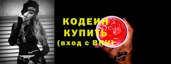 дмт Бородино