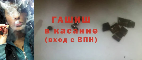 дмт Бородино