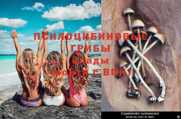не бодяженный Бронницы