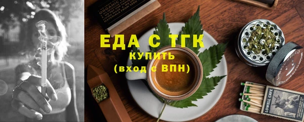 дмт Бородино