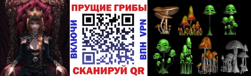 где купить наркоту  Комсомольск-на-Амуре  Псилоцибиновые грибы Magic Shrooms 